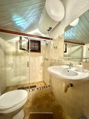 a bathroom with a toilet and a sink at Artistic Garden House in Cetinje