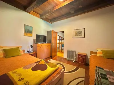 a bedroom with two beds and a television in it at Artistic Garden House in Cetinje