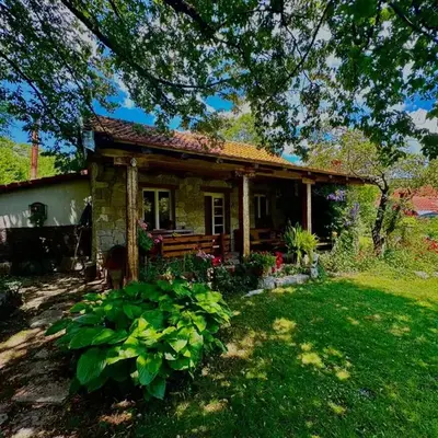Artistic Garden House