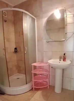 a bathroom with a shower and a sink and a toilet at Villa Delfin 1-2-3-4 in Bar