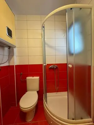 a bathroom with a toilet and a shower at Apartments Martinovic Toplis in Budva