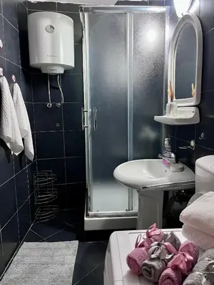 a bathroom with a shower and a sink at Apartment Sofija in Kotor