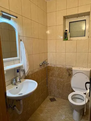 a bathroom with a toilet and a sink at Family house on the mountain - Krstac, Njegusi in Njeguši
