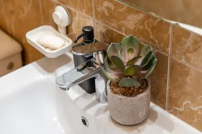 a plant sitting on a bathroom sink with a faucet at LuSi SeaView Apartment in Kotor