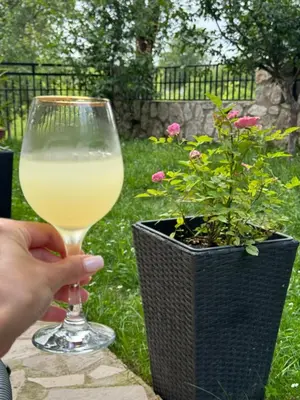 a person holding a glass of wine next to a potted plant at Oasis of peace in Budva