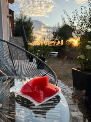 a plate of watermelon on a table next to a cat at Oasis of peace in Budva