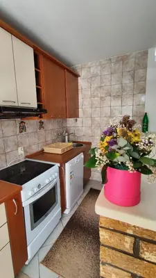 a kitchen with a pot of flowers on a counter at Apartman Centar Bar in Bar