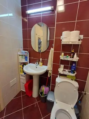 a bathroom with a sink and a toilet and a mirror at Apartman Manja Petrovac in Petrovac na Moru