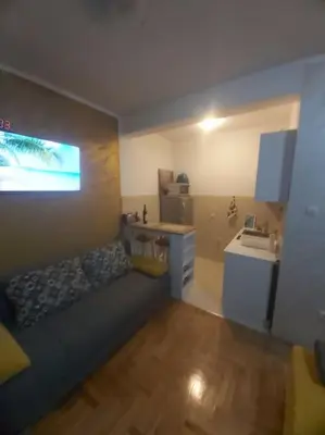 a small room with a kitchen and a sink at Apartman Manja Petrovac in Petrovac na Moru