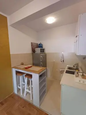 a small kitchen with a sink and a counter at Apartman Manja Petrovac in Petrovac na Moru