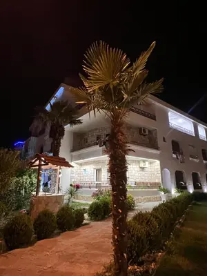 a palm tree in front of a building at night at Sunny apartments in Ulcinj