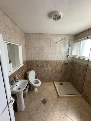 a bathroom with a shower and a toilet and a sink at Stellax Apartment in Donji Štoj