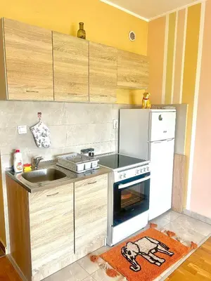 a kitchen with a sink and a stove at Charming studio in Podgorica