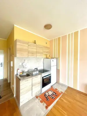 a kitchen with a sink and a stove top oven at Charming studio in Podgorica