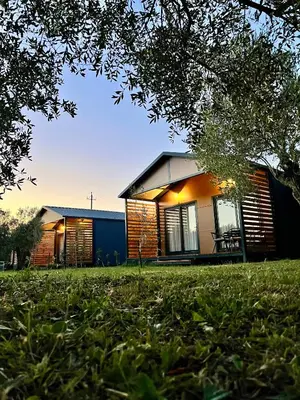 a house on a grassy field with a building at Salty Olives in Ulcinj