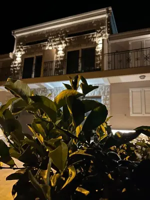 a plant in front of a building at night at Appartement en Chêne in Kotor