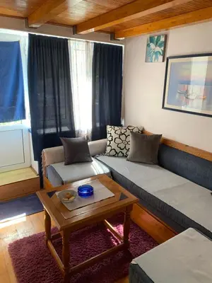 a living room with a couch and a coffee table at Apartman Tina Gurdić in Kotor