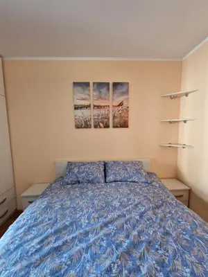 a bedroom with a bed with two paintings on the wall at Modern comfort free parking in Budva