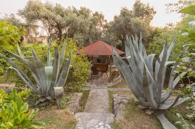Gallery image of Villa Botanicus in Petrovac na Moru