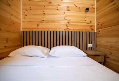 a bed with two pillows in a room with wooden walls at Villa Boga on Ada Bojana in Gornji Štoj