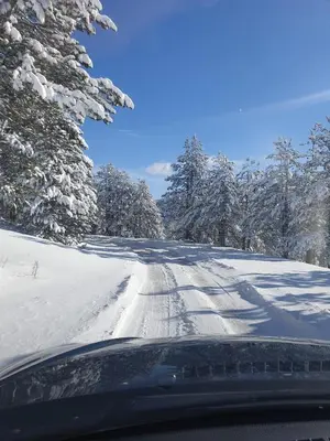 a road covered in snow with trees on it at Izletiste Pocivala in Podgorica
