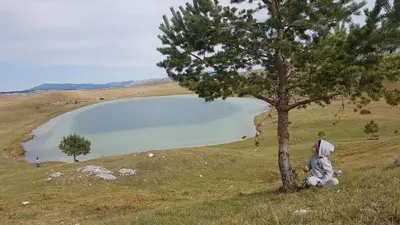 a child sitting under a tree next to a lake at Million Star Villa in Lapčići