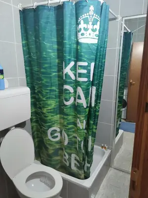 a bathroom with a toilet and a green shower curtain at Gallery apartment Budva in Budva