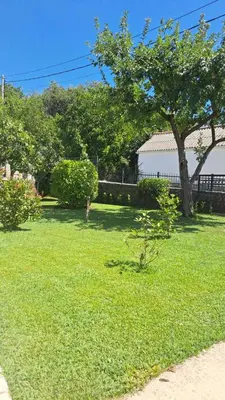 Gallery image of Apartments Kordic in Radanovići