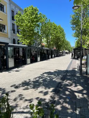 a street with trees and buildings on a sunny day at Apartment 081 City Center in Podgorica