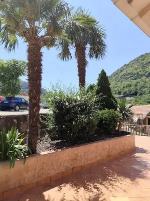 two palm trees and bushes in a yard at Vidikovac in Kotor