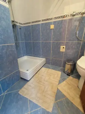 a bathroom with a toilet and a rug on the floor at Vidikovac in Kotor