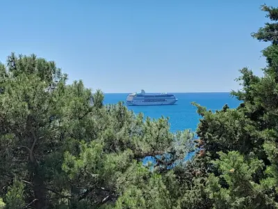 a cruise ship on the water with trees at Šušanj dvokrevetna soba in Bar, Susanj