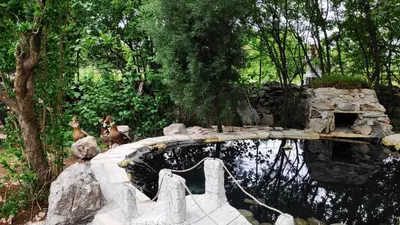 Gallery image of Seosko domaćinstvo Peković in Danilovgrad