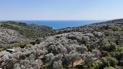 Gallery image of Olive stone house, Ulcinj in Ulcinj