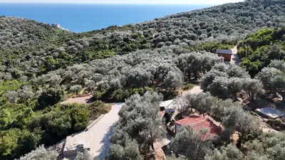 Gallery image of Olive stone house, Ulcinj in Ulcinj