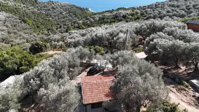 Gallery image of Olive stone house, Ulcinj in Ulcinj