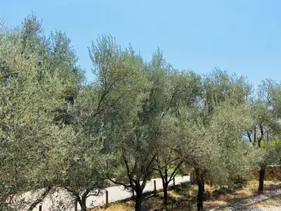 Gallery image of Olive stone house, Ulcinj in Ulcinj