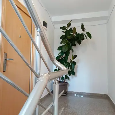 a staircase with a potted plant next to a door at Apartmani Kolovic Susanj in Bar