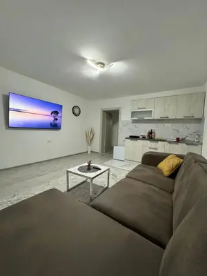 a living room with a couch and a table at Apartment Airport DD in Mitrovići