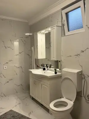 a white bathroom with a toilet and a sink at Apartment Airport DD in Mitrovići