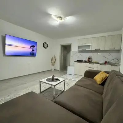 Apartment Airport DD