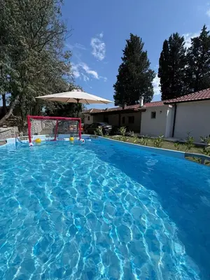 a large blue swimming pool with a goal at Casa Hollaj in Vladimir