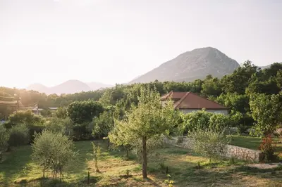 a house in a field with mountains in the background at Casa Hollaj in Vladimir