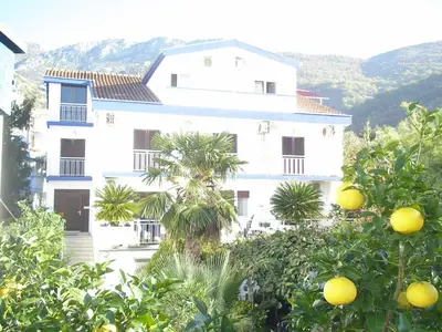 a white house with a palm tree in front of it at Apartments Becici in Budva