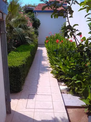 a walkway in a garden with flowers and plants at Apartments Becici in Budva