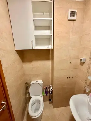 a small bathroom with a toilet and a sink at Apartment Milana in Konik