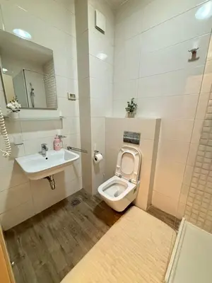 a bathroom with a toilet and a sink at Apartment Enjoy City kvart in Podgorica