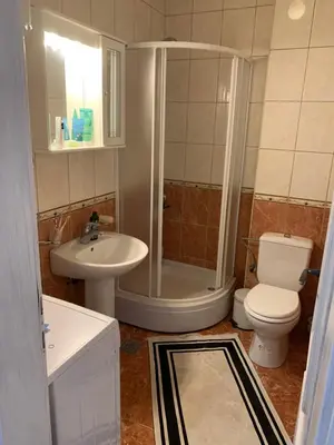 a bathroom with a shower and a toilet and a sink at Njaro del mar 16 in Petrovac na Moru