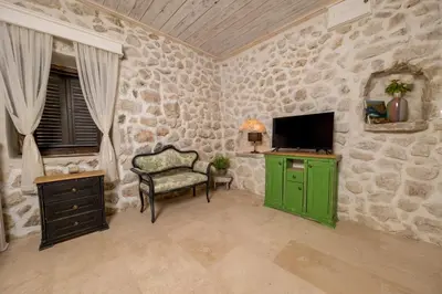 Gallery image of Old House Leković in Godinje