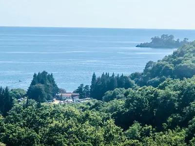 a view of the ocean from a hill with trees at Bay View Apartments in Petrovac na Moru